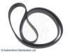 OPEL 04430217 V-Ribbed Belts